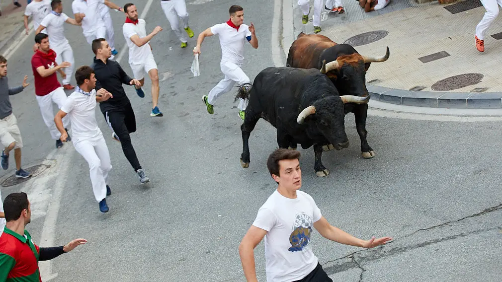 Las Emocionantes Carreras Gracias A Los Toros Sueltos El Primer