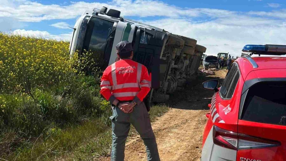 El camión que transportaba cerdos, quedó volcado en el camino rural en Oteiza (Navarra). POLICÍA FORAL