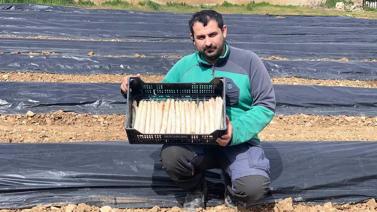 Javier P&eacute;rez de Zabalza en su finca de esp&aacute;rragos en Legaria. Navarra.com