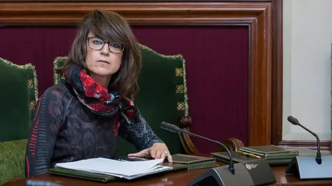 Maider Beloki en la reuni&oacute;n de la Comisi&oacute;n de Asuntos Ciudadanos del Ayuntamiento de Pamplona. (1). I&Ntilde;IGO ALZUGARAY