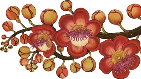 Detalle de Botanicum