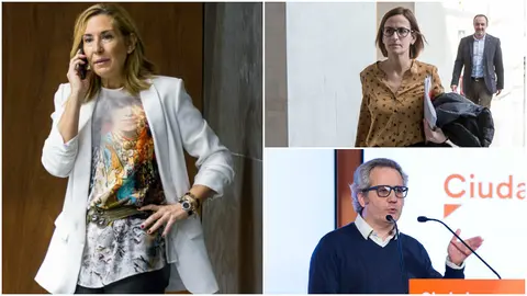 Ana Beltr&aacute;n (PP), Mar&iacute;a Chivite (PSN) y P&eacute;rez-Nievas (Ciudadanos).