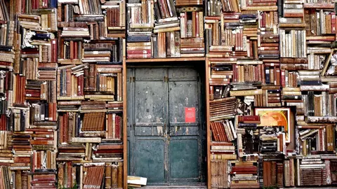 Una biblioteca llena de libros