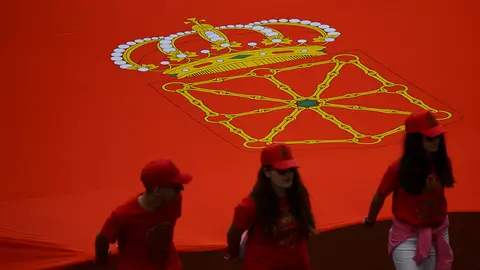 Manifestación en defensa de la bandera de Navarra. PABLO LASAOSA 14