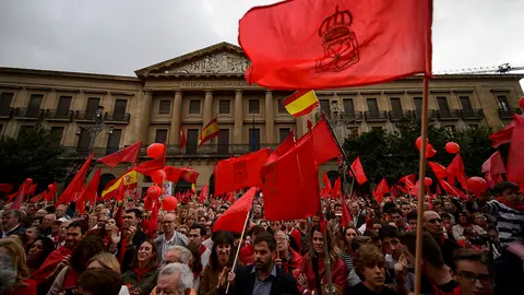 Manifestación en defensa de la bandera de Navarra. PABLO LASAOSA 66