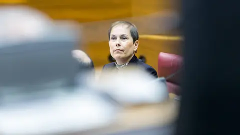 Pleno parlamentario de control al Gobierno de Navarra (79). IÑIGO ALZUGARAY