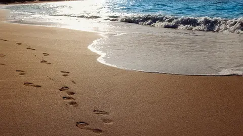 Huellas en la arena en la orilla del mar.