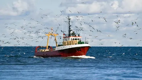 Una barco navega por el mar rodeado de gaviotas..