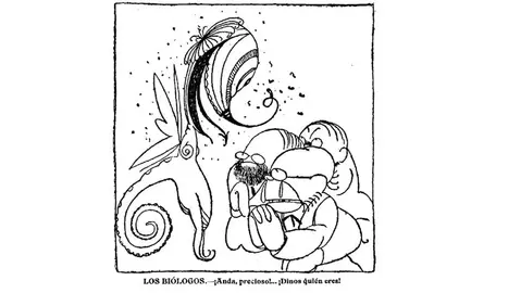 Chiste publicado en El SOL durante la primera oleada de gripe. En la segunda oleada también hubo confusionismo, unos la identificaban como tifus y otros como paludismo (2)