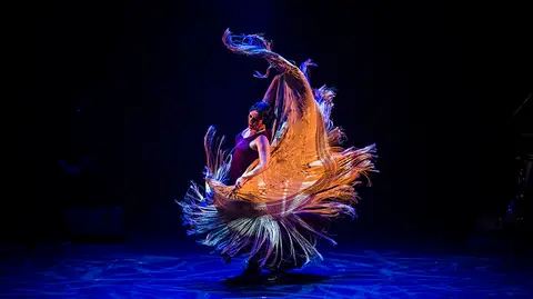 Eva Yerbabuena da un concierto en Baluarte durante el Festival Flamenco On Fire. JAVIER FERG&Oacute;  (1)