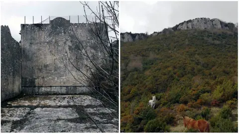 Un antiguo frontón y dos caballos que pastan, dos paisajes de Navarra.