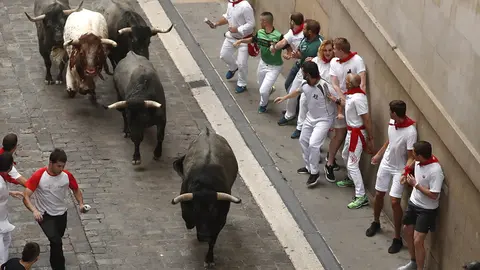 GR2021. PAMPLONA, 09/07/2019.- Los toros de la ganader&iacute;a de Jos&eacute; Escolar Gil, de Lanzah&iacute;ta (&Aacute;vila), llegan a la Plaza del Ayuntamiento durante el tercer encierro de los Sanfermines 2019. EFE/Javier Liz&oacute;n