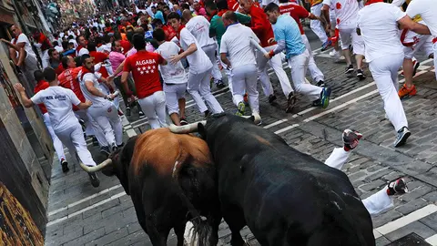 Los toros de la ganader&iacute;a de La Palmosilla, de Tarifa (C&aacute;diz), a su paso por la calle de La Estafeta, durante el s&eacute;ptimo encierro de los Sanfermines 2019.- EFE/Villar L&oacute;pez