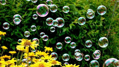 Pompas de jabón.