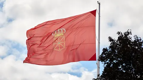 Bandera de Navarra en la Plaza de los Fueros de Pamplona. IÑIGO ALZUGARAY