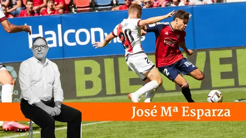 Partido de La Liga Santander entre Osasuna y Rayo Vallecano disputado en el estadio de El Sadar. I&Ntilde;IGO ALZUGARAY