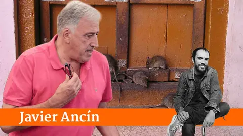 Fotomontaje de Asirón sobre la imagen de varias ratas en una puerta de una vivienda. ARCHIVO