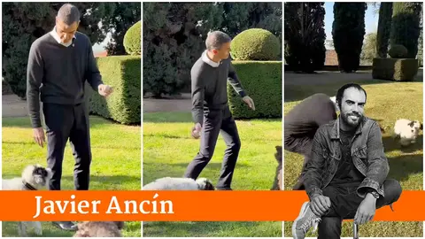 Pedro S&aacute;nchez jugando con sus perras en La Moncloa.