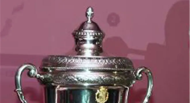 Copa f&uacute;tbol sala.