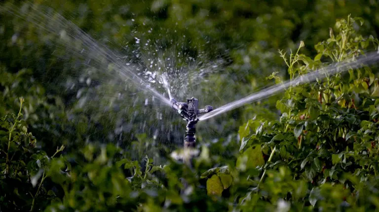 Sistema de regadío. EFE