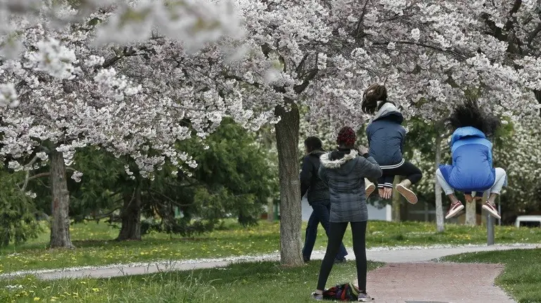 Tiempo primaveral en Navarra