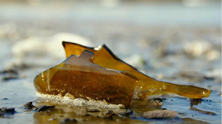 Una botella de cristal rota en la v&iacute;a p&uacute;blica. ARCHIVO