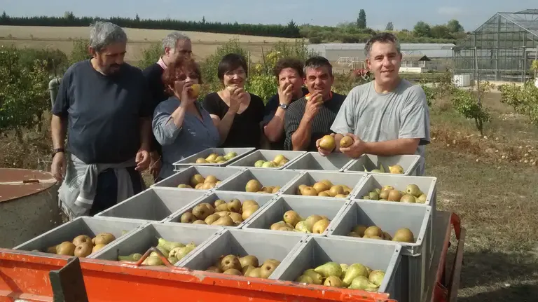 Participantes en la recogida de frutas de Elkarkide posan junto a cajas de frutas recogidas en la Finca de Prácticas UPNA