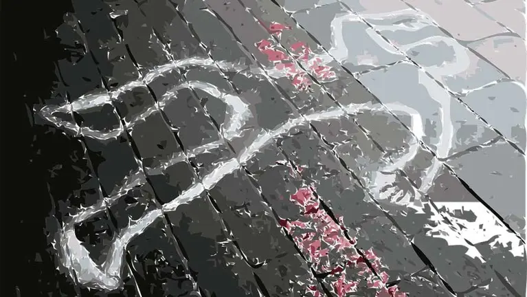 Este martes comienza la tercera edici&oacute;n del ciclo Pamplona negra en Baluarte