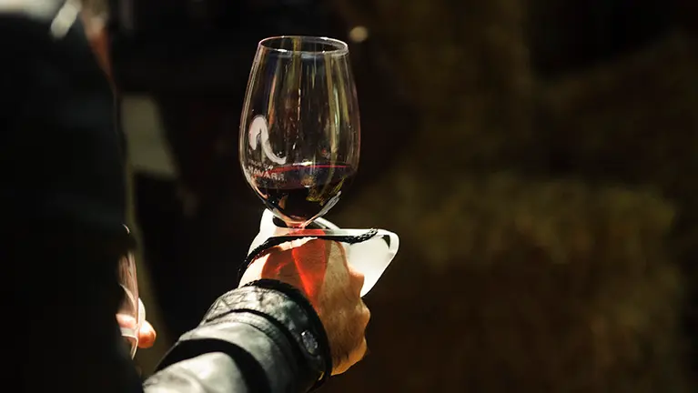 Celebraci&oacute;n de la d&eacute;cima edici&oacute;n de La Noche del Vino con la participaci&oacute;n de 35 bodegas en la Ciudadela de Pamplona. MIGUEL OS&Eacute;S (3)