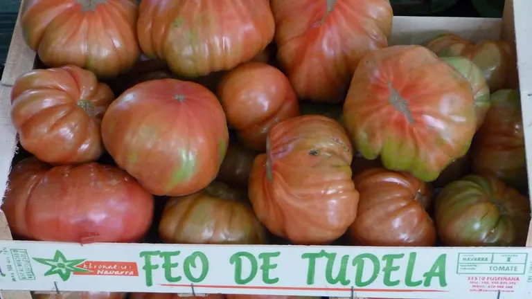 Imagen de una barquilla de tomate feo de Tudela, una de las variedades m&aacute;s sabrosas que adem&aacute;s tiene su propio concurso en la capital ribera