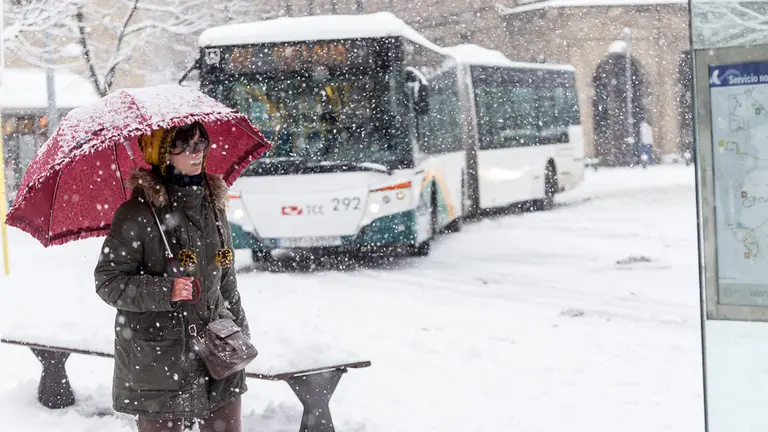 Nieve en Pamplona (36). I&Ntilde;IGO ALZUGARAY