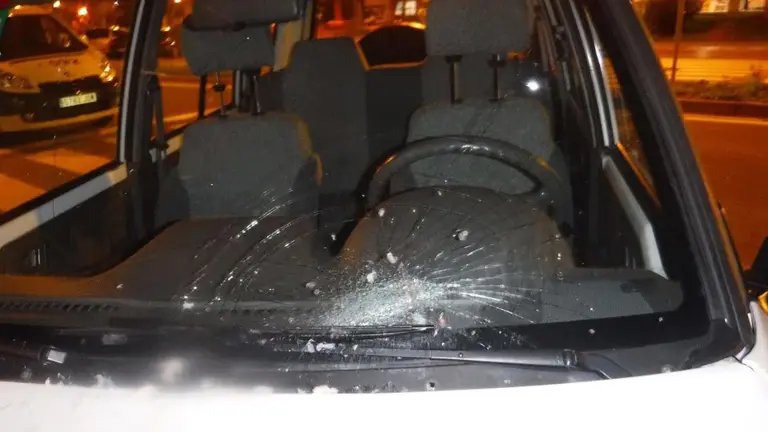 Luna rota por una merluza congelada en la avenida de Pamplona POLIC&Iacute;A MUNICIPAL DE PAMPLONA