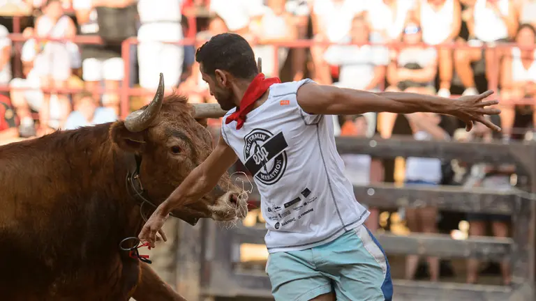 Suelta de vacas durante las fiestas de Carcastillo 2018. PABLO LASAOSA 02