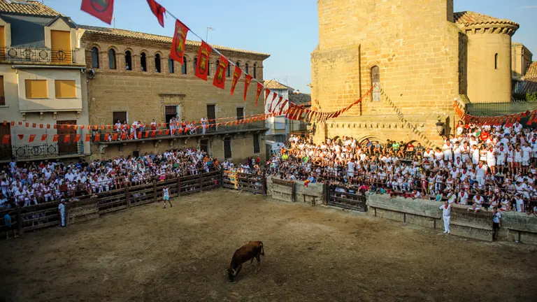 Imagen de archivo de la suelta de vacas en las fiestas de 2018 de Carcastillo. MIGUEL OSÉS
