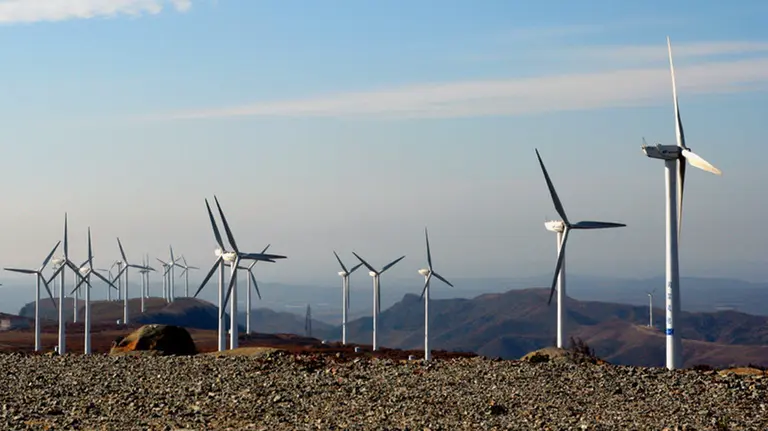 Imagen de un parque e&oacute;lico con decenas de molinos de viento. ARCHIVO