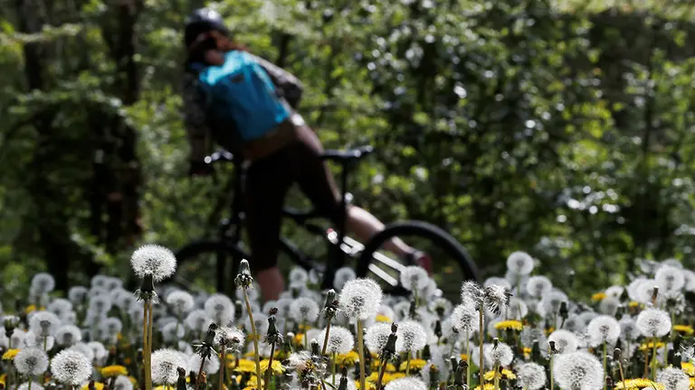 Buen tiempo en Pamplona EFE