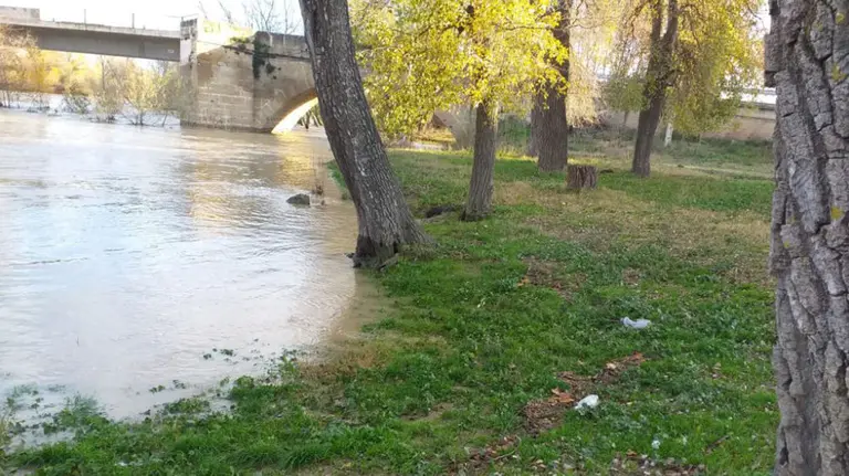 Estado del r&iacute;o Arag&oacute;n a su paso por Caparroso (2) CEDIDA