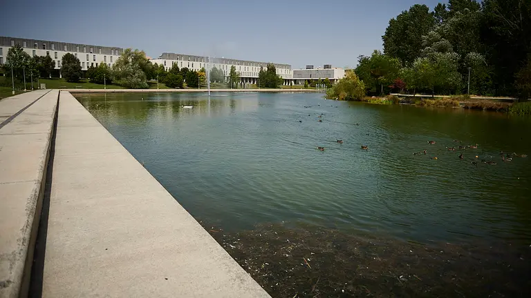 Lago de Sarriguren. PABLO LASAOSA