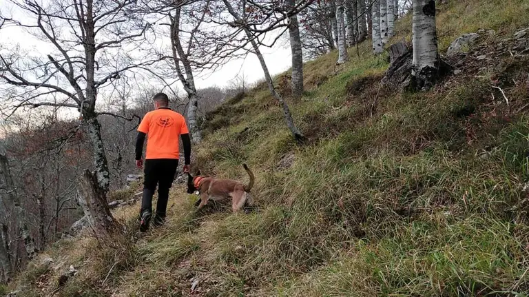 Integrantes del dispositivo de b&uacute;squeda de la mujer de 84 a&ntilde;os desparecida en Lanz peinan la zona. BOMBEROS DE NAVARRA (2)