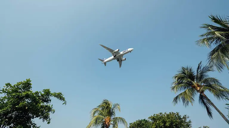 Un avión pasa por encima de unas palmeras. ARCHIVO