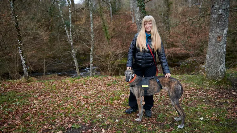 Kilt es el cuarto galgo que acoge Marta Huarte. IRANZU LARRASOA&Ntilde;A