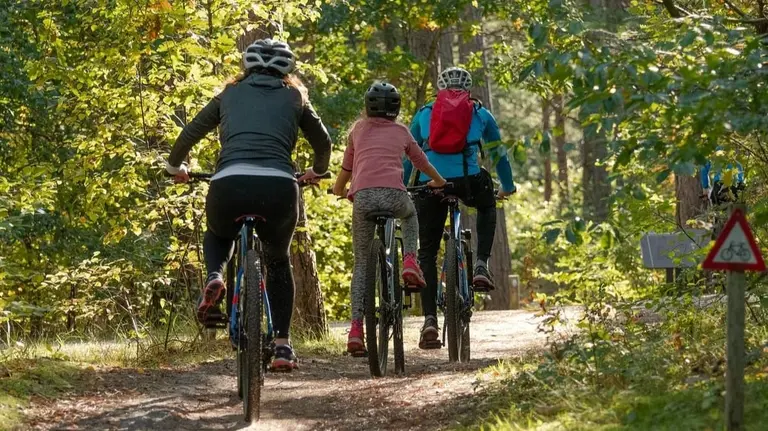 D&iacute;a del Padre: hacer una ruta en bici con los m&aacute;s peque&ntilde;os. Foto: Pixabay.