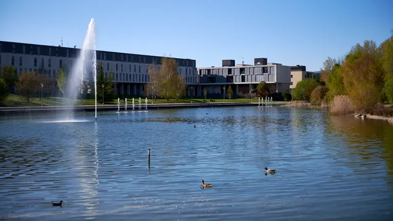 Lago de Sarriguren. IRANZU LARRASOA&Ntilde;A