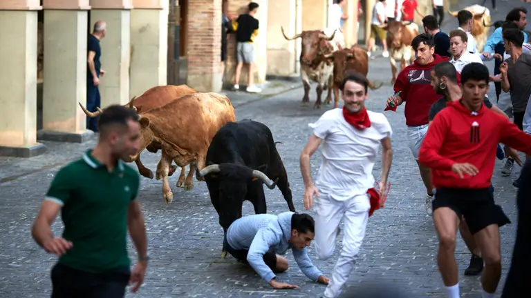 Encierro de novillos el domingo en Estella durante las Fiestas del Puy. IRANZU LARRASOAÑA