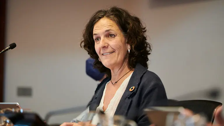 La consejera de Desarrollo Rural y Medio Ambiente, Itziar G&oacute;mez, explica en comisi&oacute;n la gesti&oacute;n de la emergencia de los incendios forestales que han ocurrido en Navarra. PABLO LASAOSA