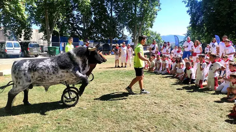 Toros de agua en el descanso de la Comparsa. L.V.R.