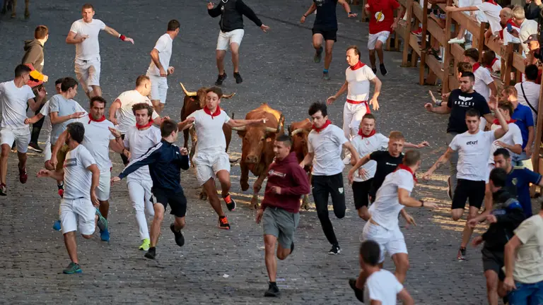 Encierro de vacas en Estella. IRANZU LARRASOA&Ntilde;A