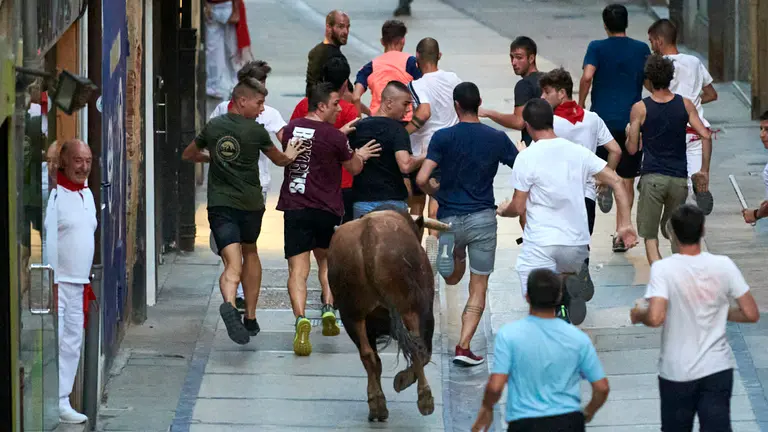 Encierro de novillos en Estella. IRANZU LARRASOA&Ntilde;A