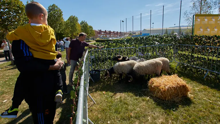 VII Feria Navarra Ecol&oacute;gica en el Parque de los Sentidos de No&aacute;in. I&Ntilde;IGO ALZUGARAY