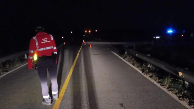 Agentes de la Polic&iacute;a Foral de Navarra atienden el accidente mortal de un peat&oacute;n en Caparroso.